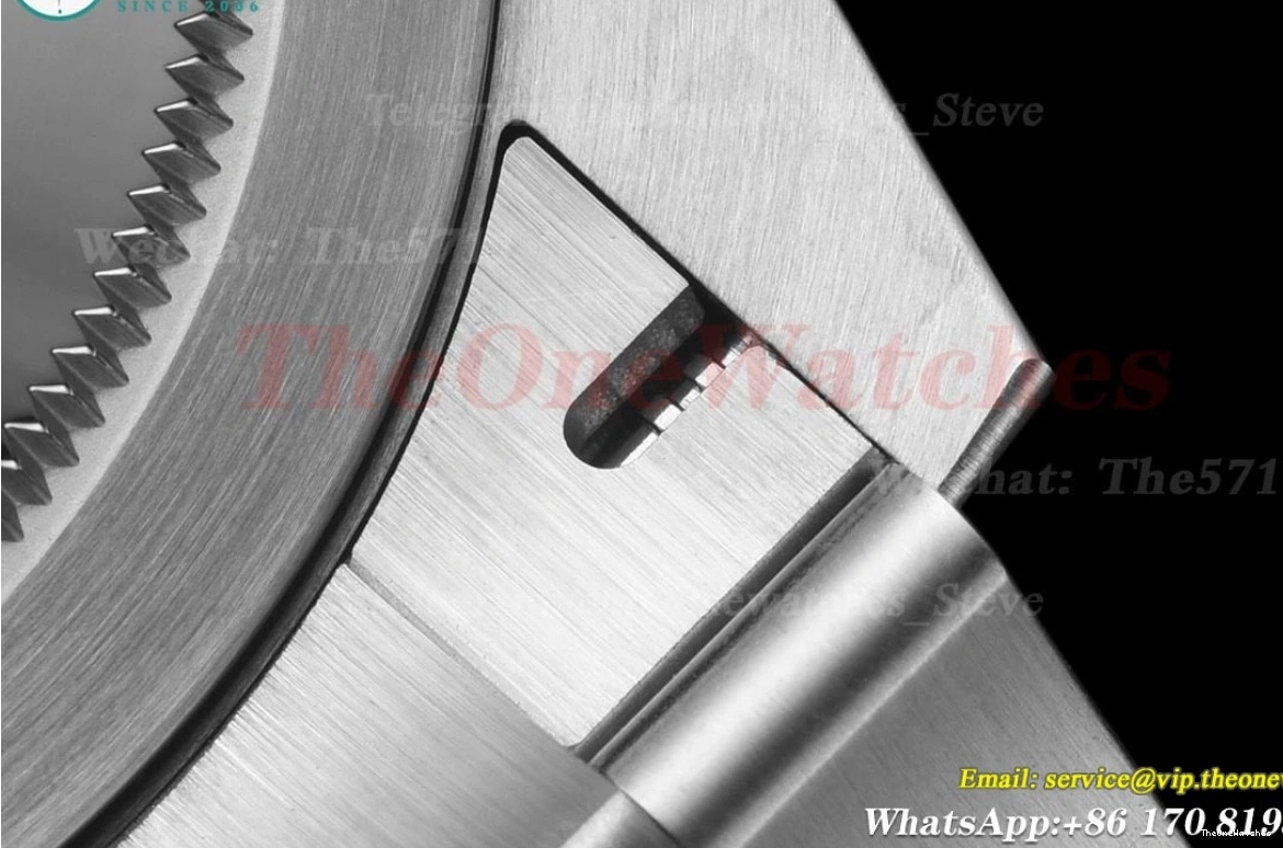 Black Explorer 40mm SS VS3230 224270 SS Dial VSF I 0129